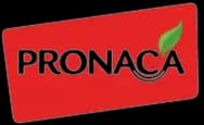 Pronaca